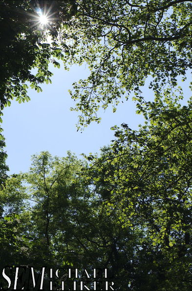 20140606021605-d4c06461.jpg