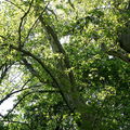  DSC5865