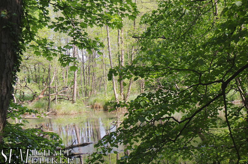 20140606021619-d4ea2ff9.jpg