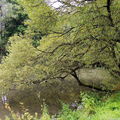  DSC7662