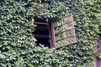  DSC7794