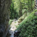  DSC7585