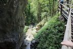  DSC7585