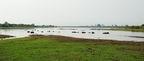 _DSC0660