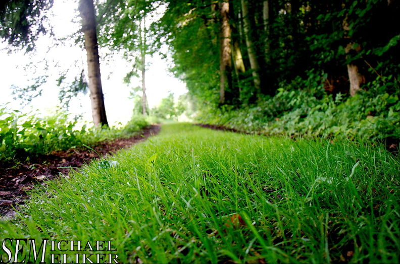 _DSC3264.jpg